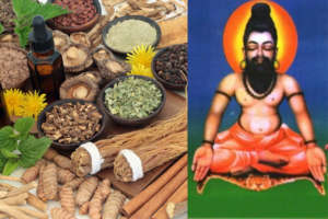 Read more about the article Siddha